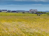 Isle of South Uist